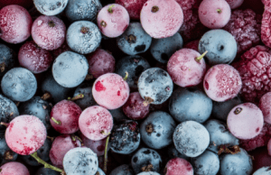 Blast Freezer for blast freezing. Berries which have been stored in a Blast Freezer. Find out how a Shock Freezer works in this article.