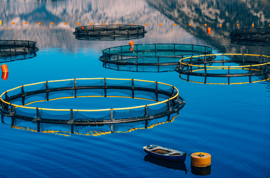 water quality sensor for Fish Farming