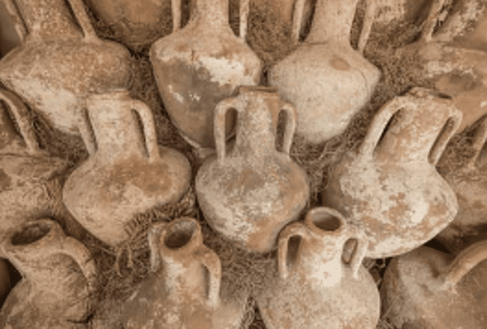 History of Bioreactors – Bioreactors history dates back to 7000 B.C.