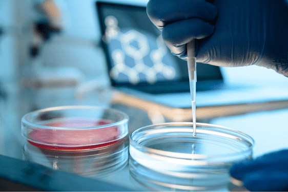 Biotech Cosmetics Developed In a Petri Dish. Enquire Online to Find Out How We Can Assist With the Biotechnology Cosmetics Process.