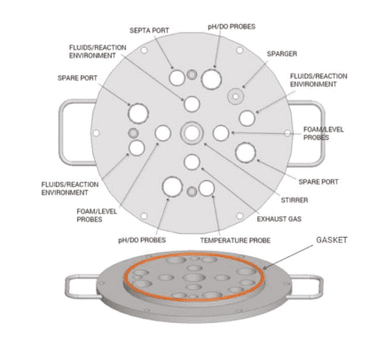 Bioreactor with non-welded lid